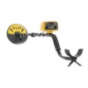 Viking Wasp